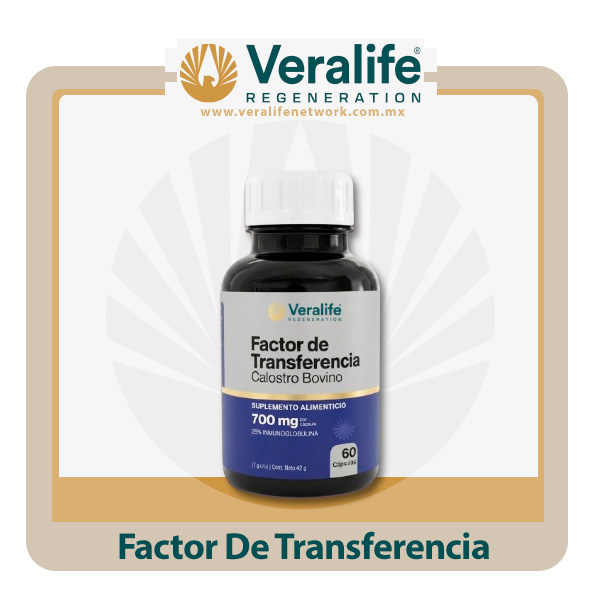Factor De Transferencia